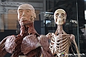 VBS_3022 - Mostra Body Worlds